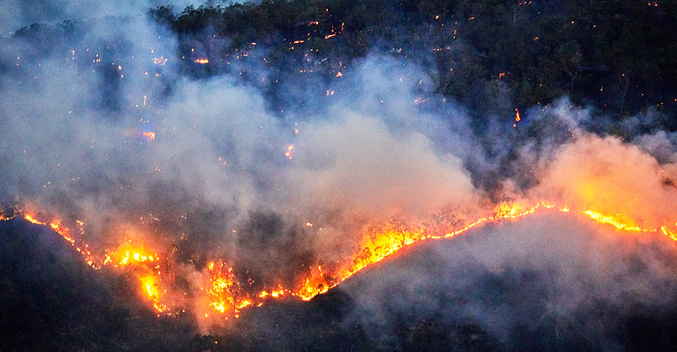 Disaster Relief Image of a wildfire
